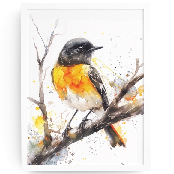 Creative Path Studios Other - Watercolor American Redstart Bird Print Unframed - Wall Art Bird Illustration
